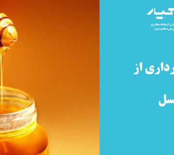 عسل