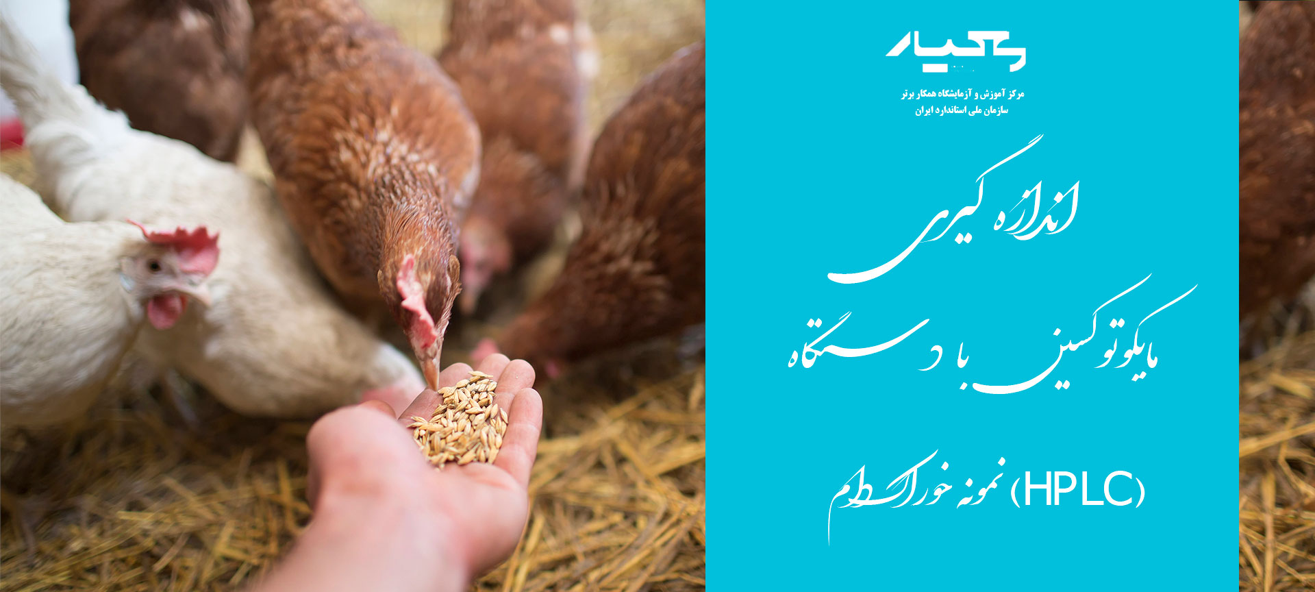 اندازه گیری مایکوتوکسین
