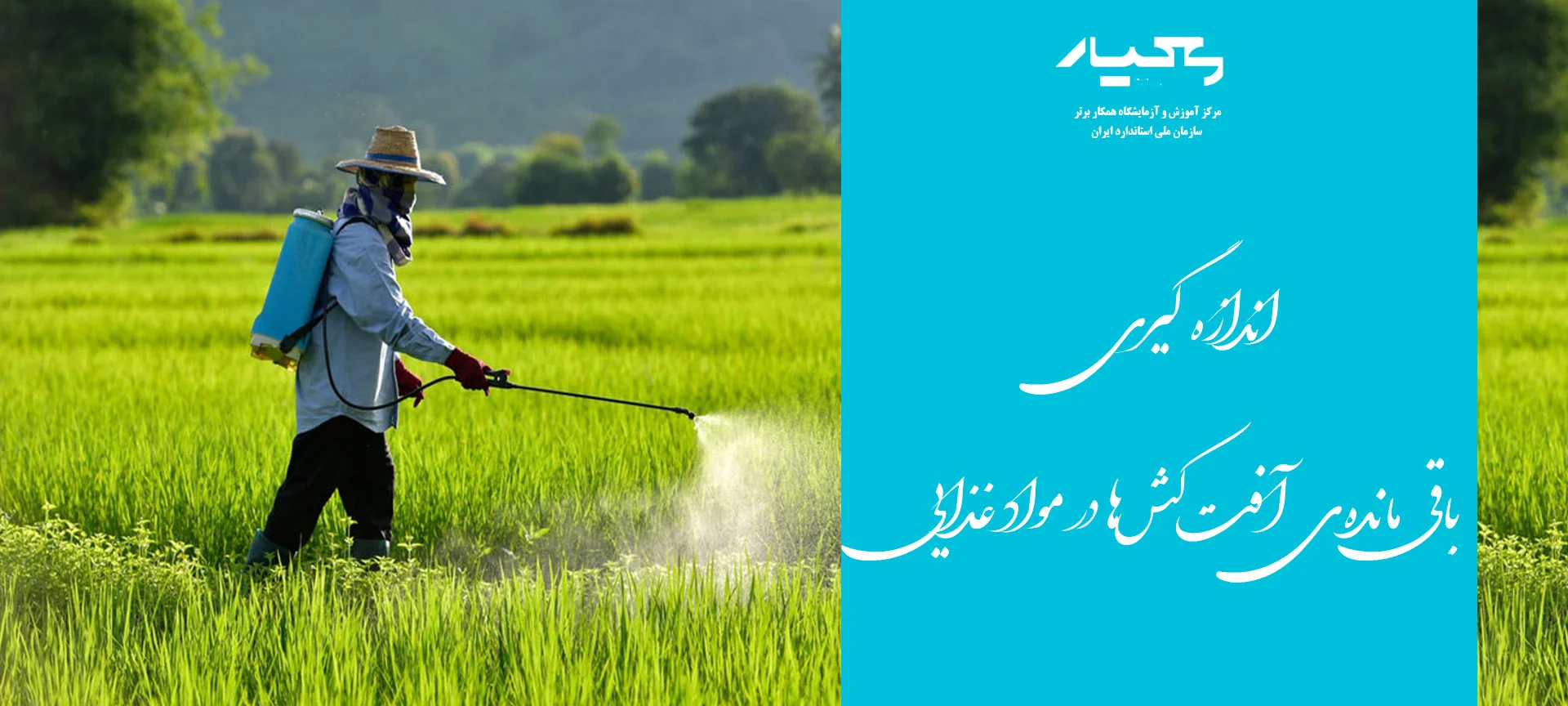 باقی مانده آفت کش ها در مواد غذایی