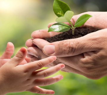 آزمون های محیط زیست