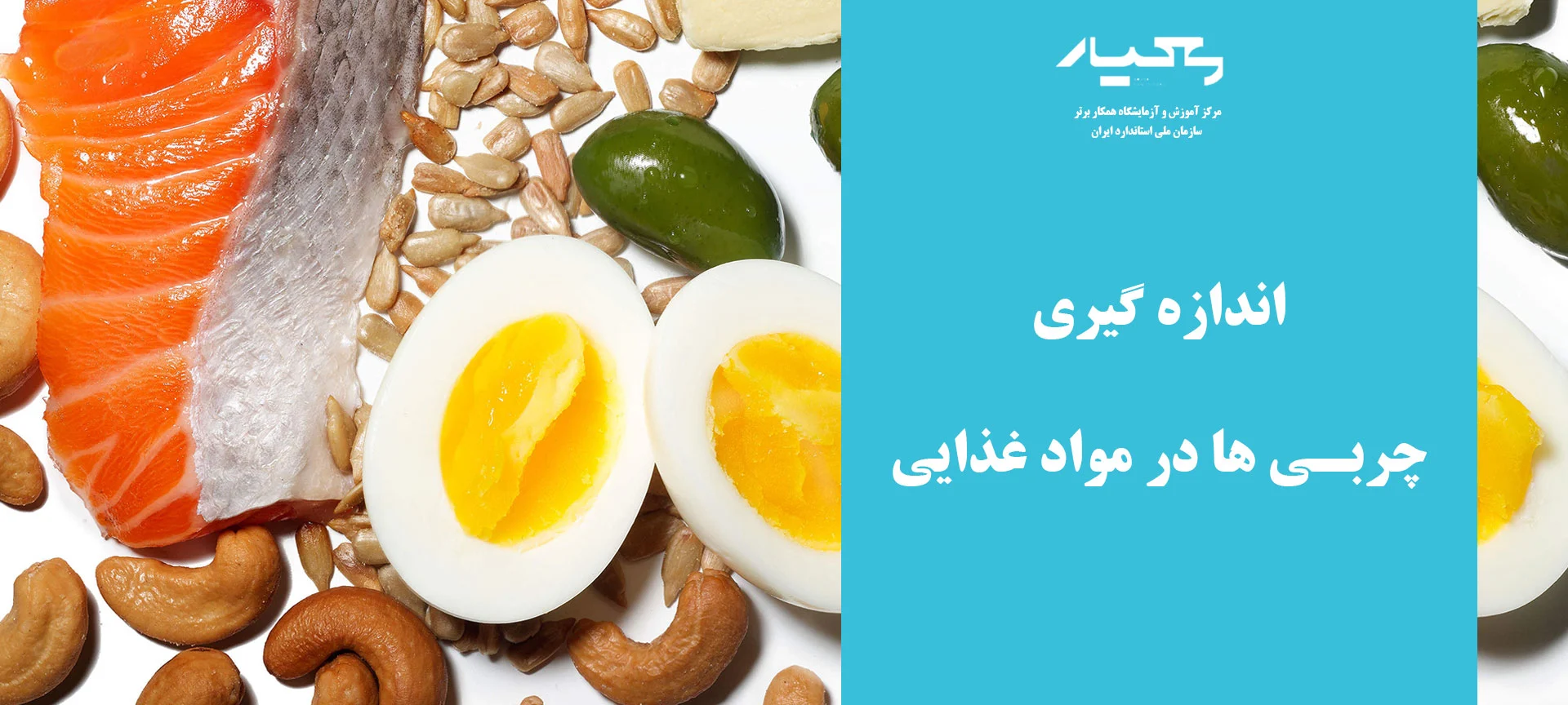 چربی در مواد غذایی