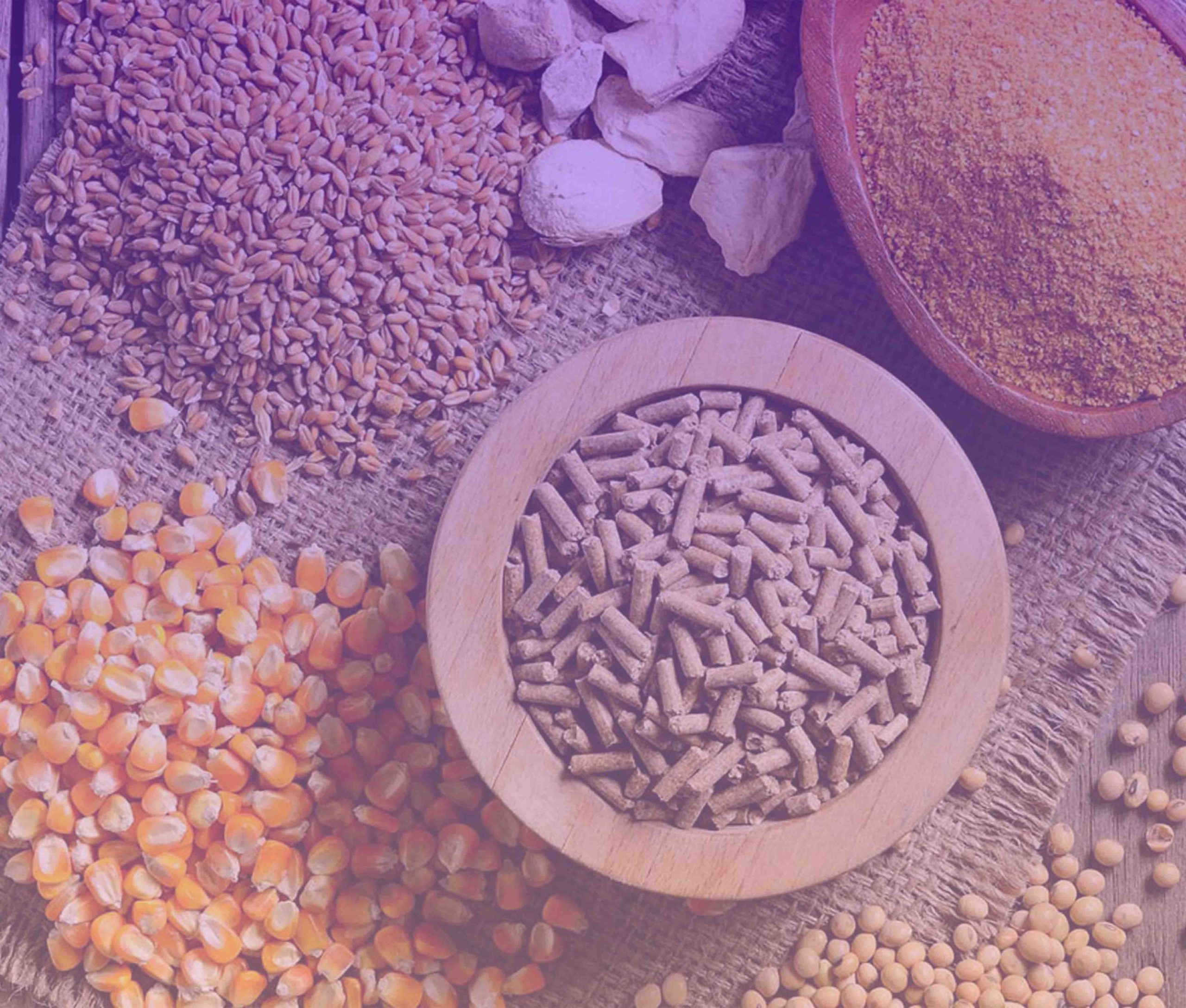 آزمایشگاه خوراک دام و طیور