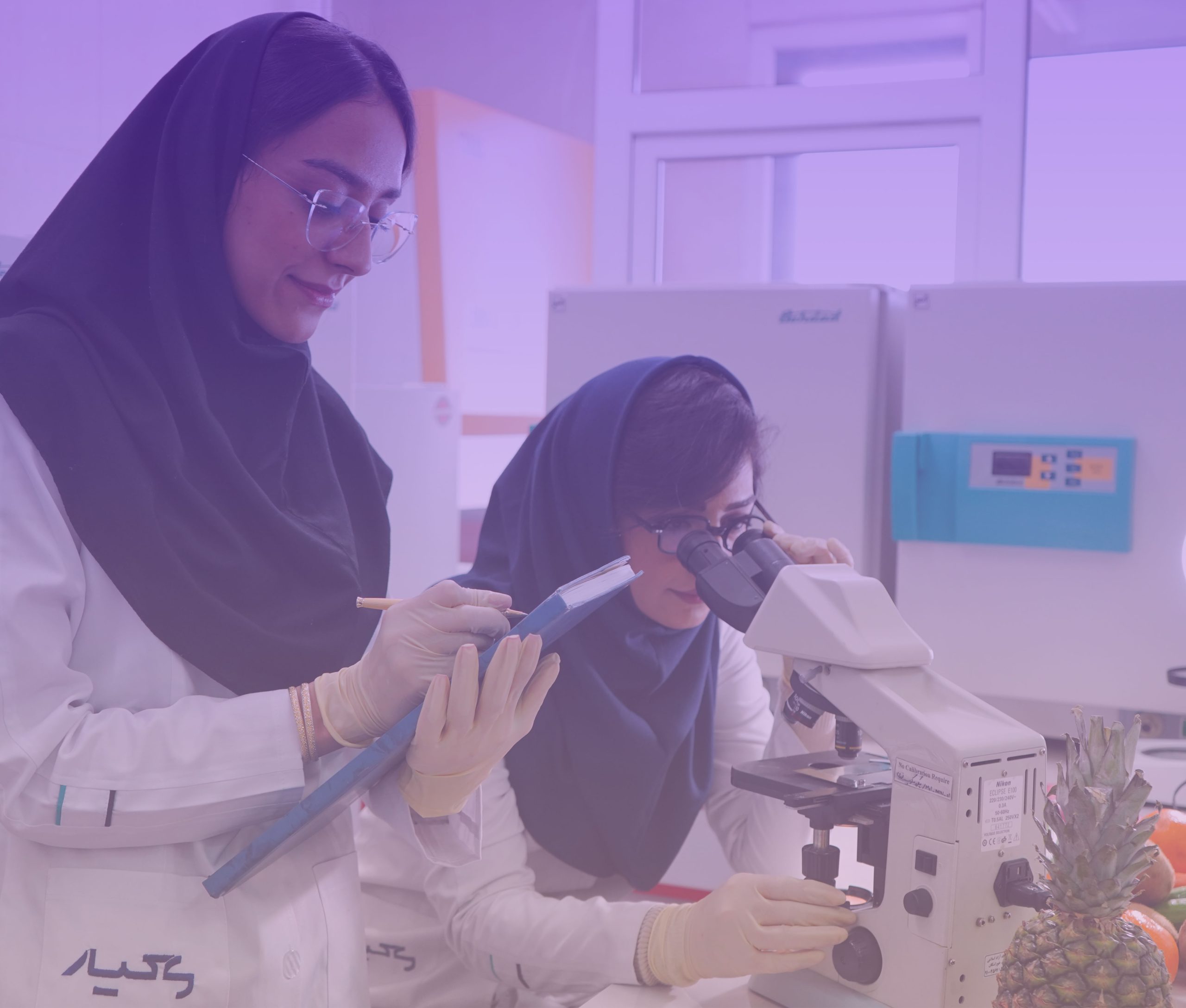 کار آزمایشگاه میکروبیولوژی