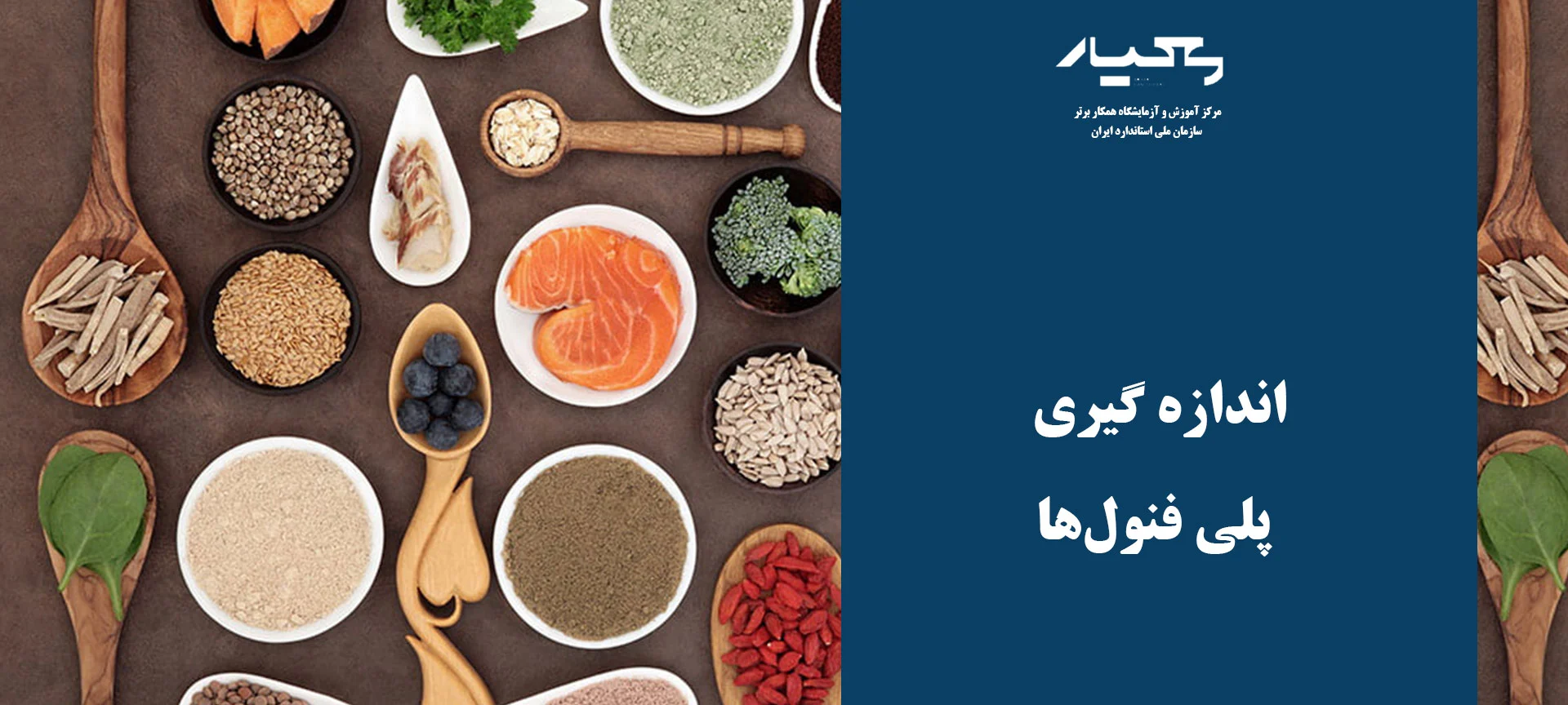 مواد غذایی و پلی فنول ها