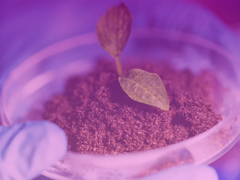 خاک و کود معیار دانش پار