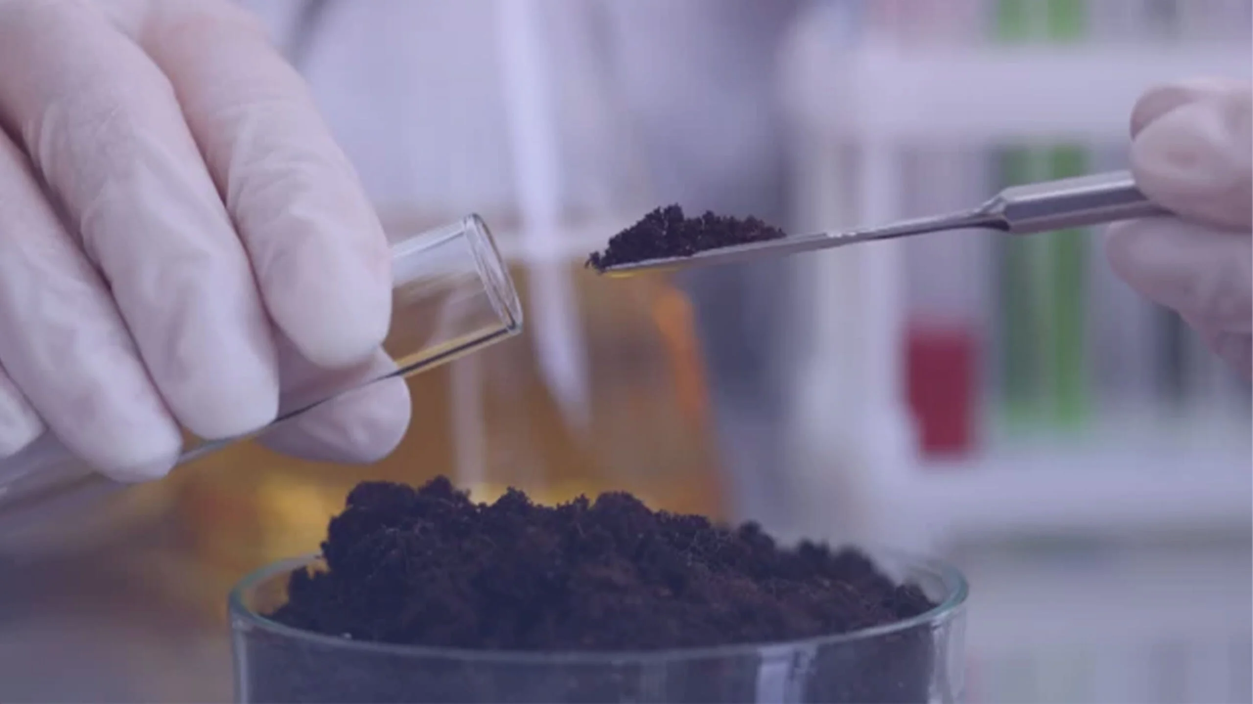 شرکت معیار دانش پارس